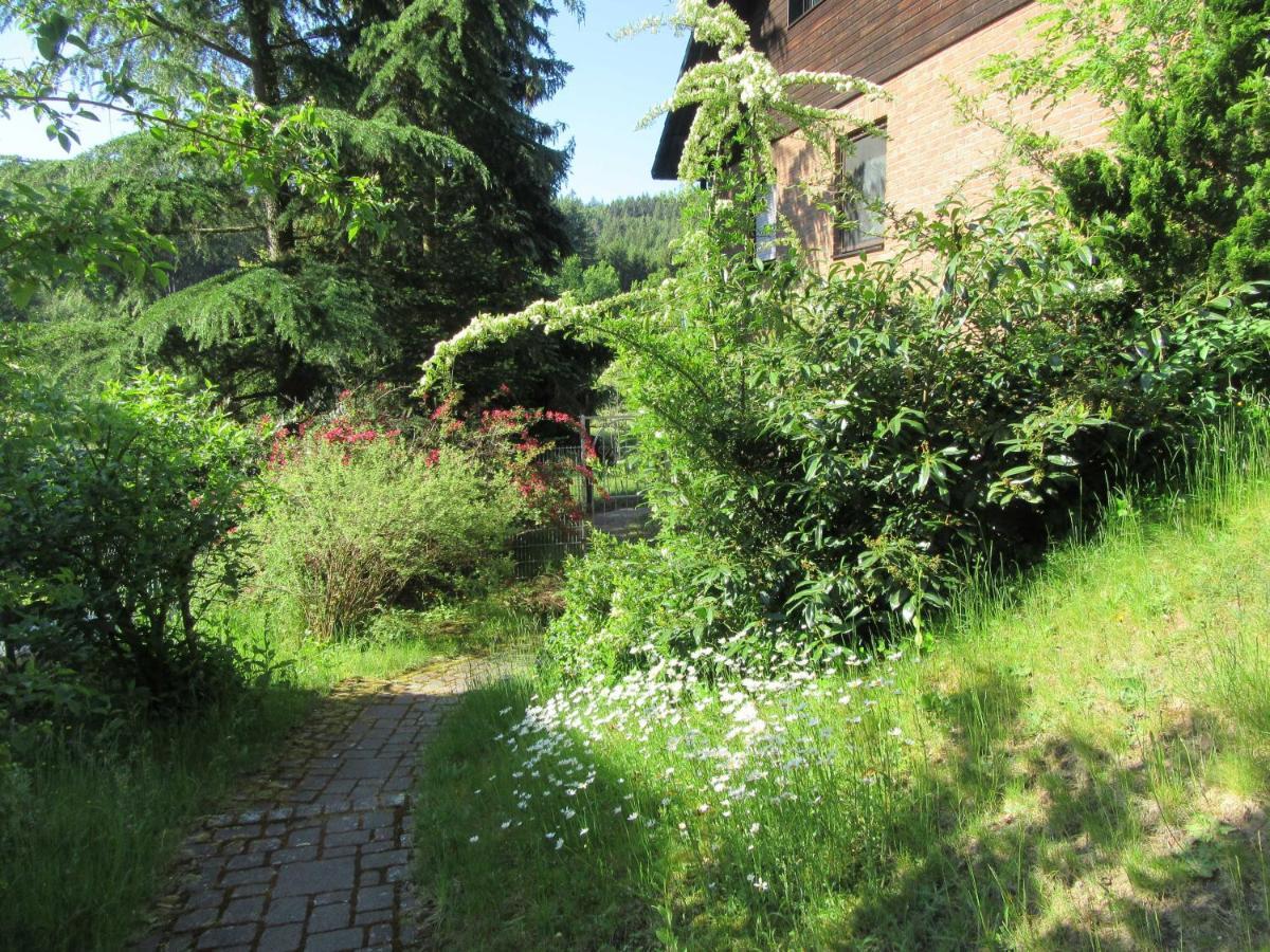 Ferienwohnung Hammergrund Mossautal 外观 照片