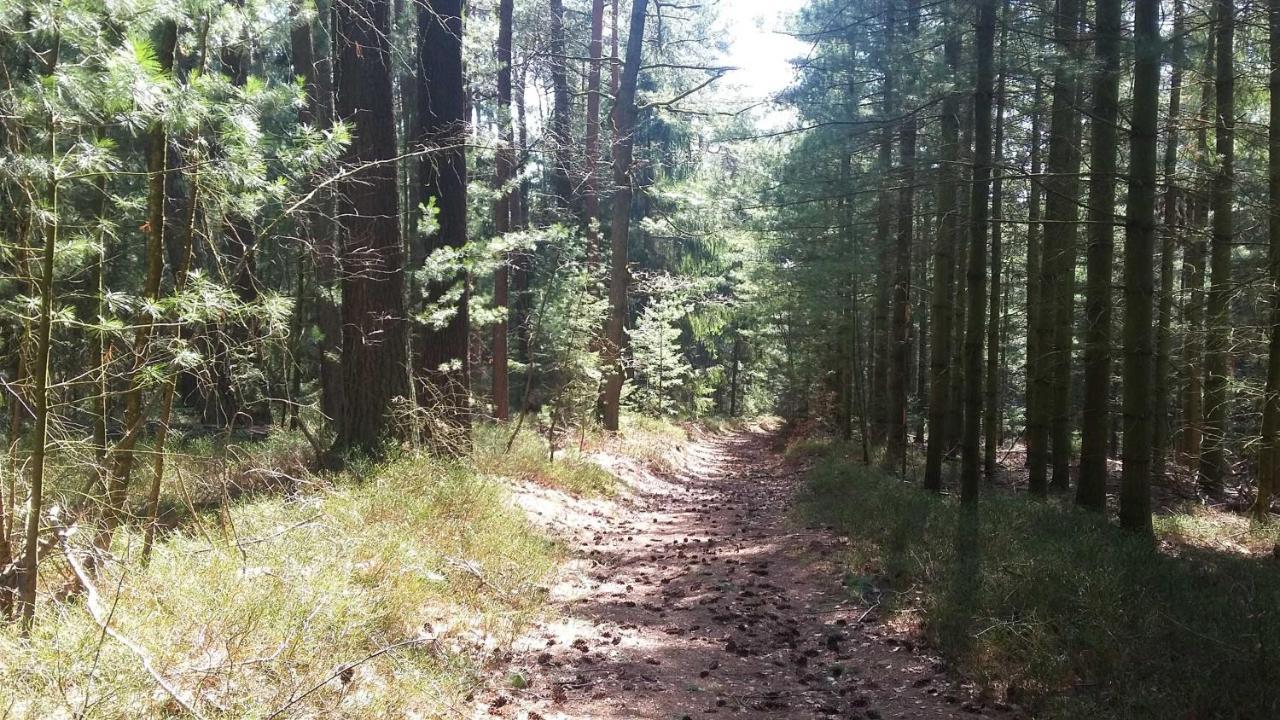 Ferienwohnung Hammergrund Mossautal 外观 照片